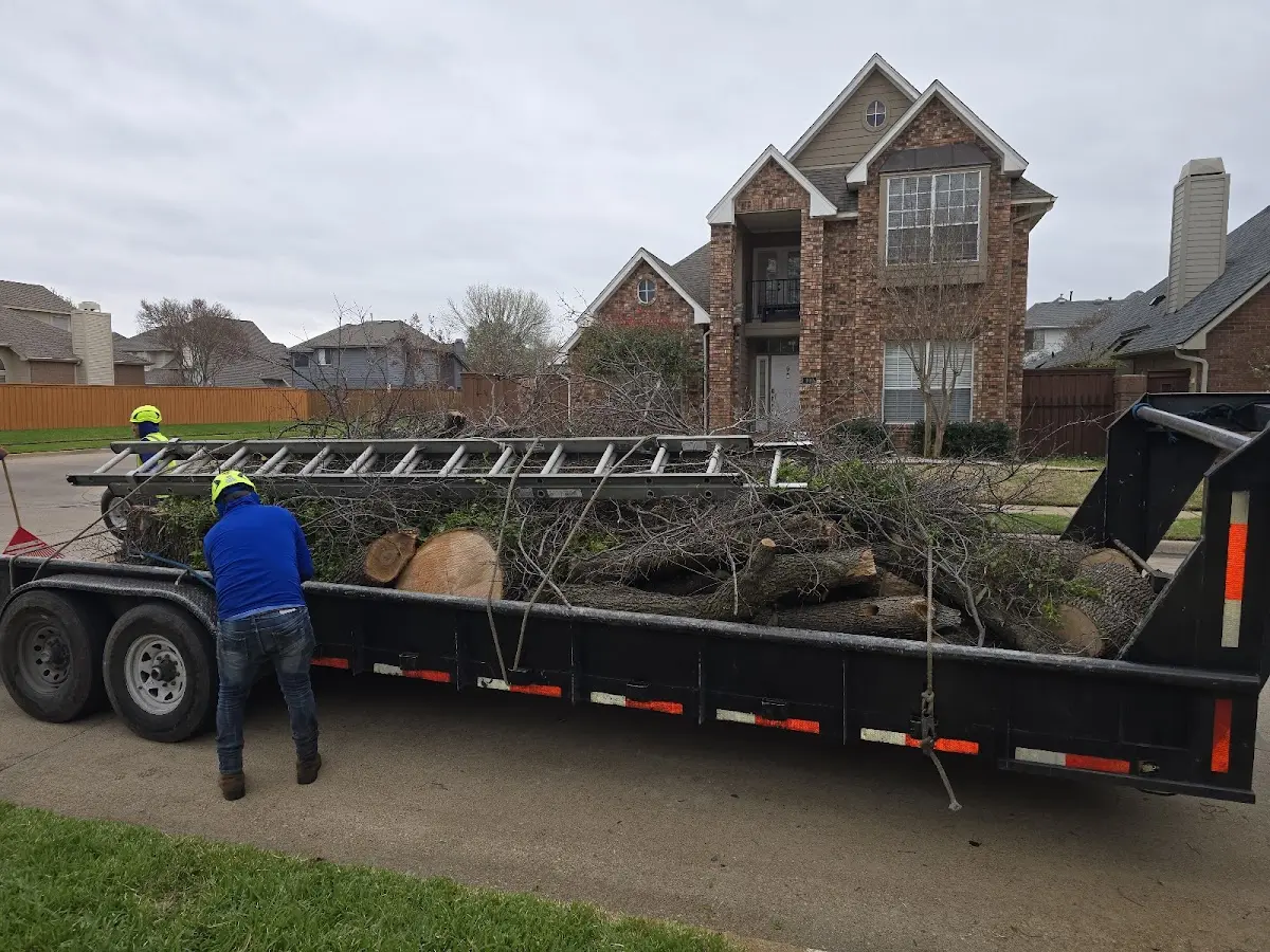 Expert Tree Fertilization with proper safety equipment in Skidmore